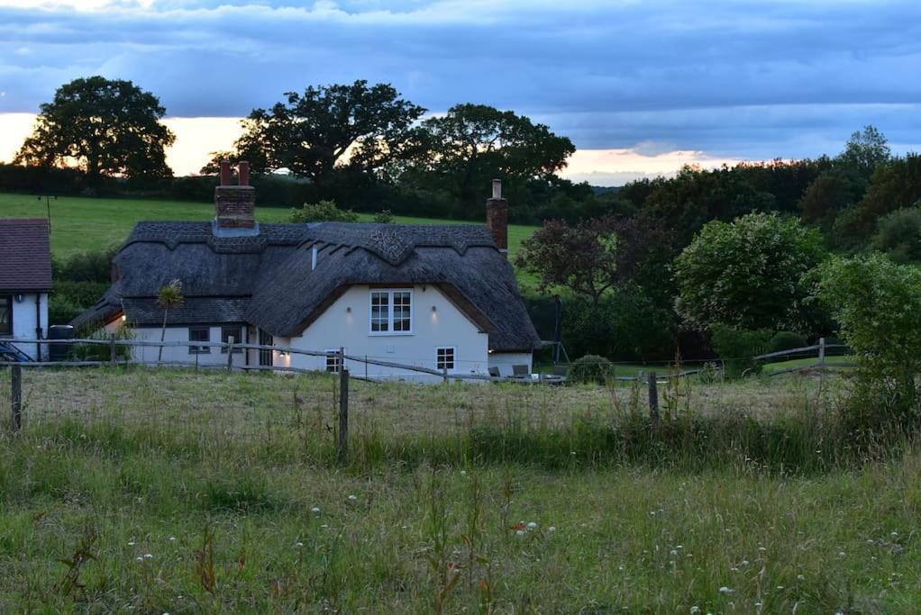 Chestnut Cottage, New Forest, Village *