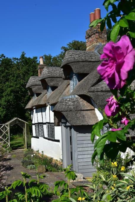 Holiday home Chestnut Cottage, New Forest, Village Beaulieu