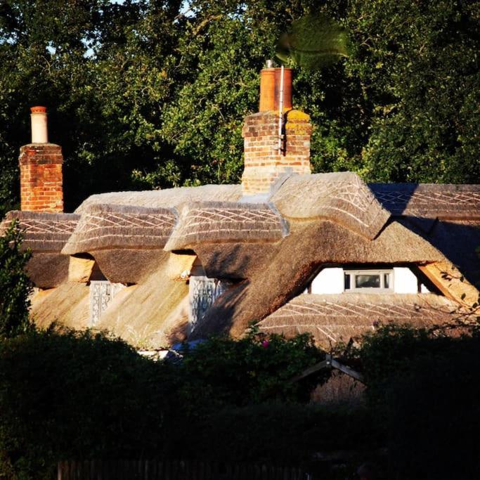 Holiday home Chestnut Cottage, New Forest, Village