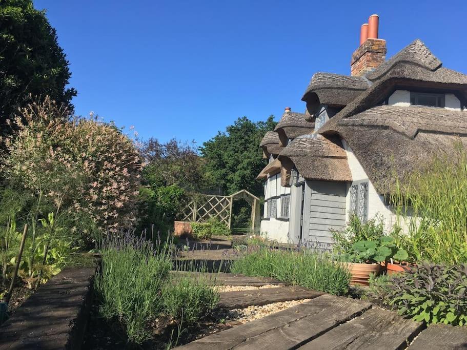 Chestnut Cottage, New Forest, Village Beaulieu