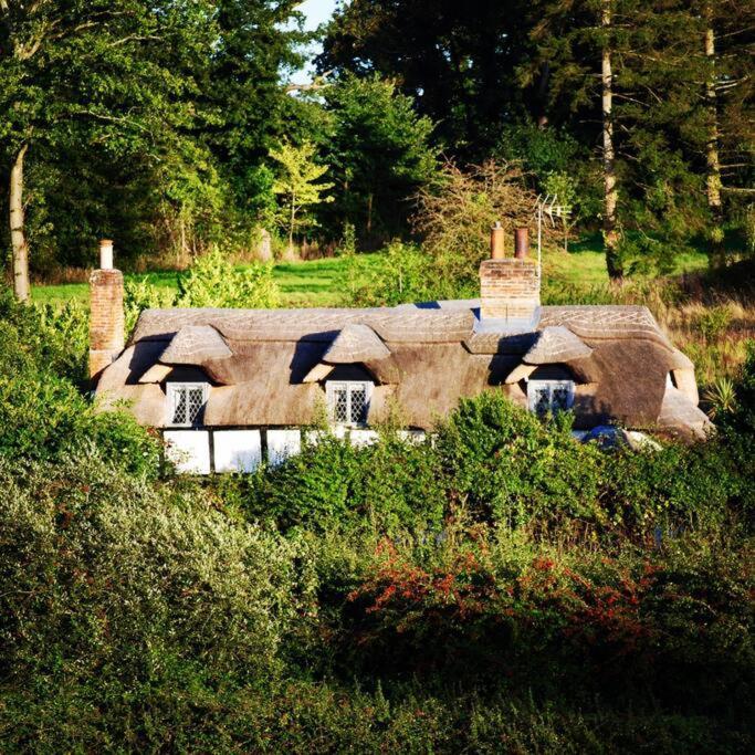 Holiday home Chestnut Cottage, New Forest, Village *