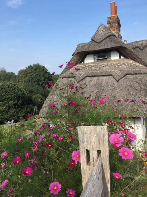 Chestnut Cottage, New Forest, Village Beaulieu